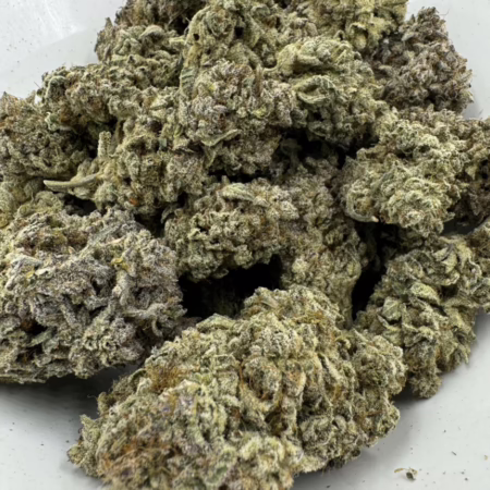 Exotic – Bad Decisions x Fire Crotch LSO